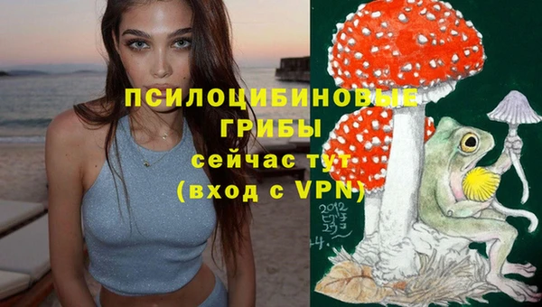 стаф Бронницы