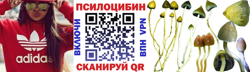 Галлюциногенные грибы ЛСД  сколько стоит  Кировск 