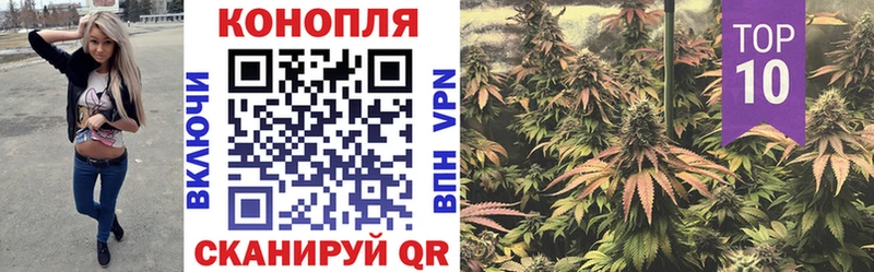МАРИХУАНА семена  купить наркотик  Кировск 